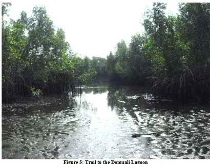 Figure 5: Trail to the Domunli Lagoon 