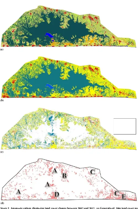 Figure 5  Amanzule collage displaying land cover change between 2002 and 2012. (a) Generalized, 30m land cover map 