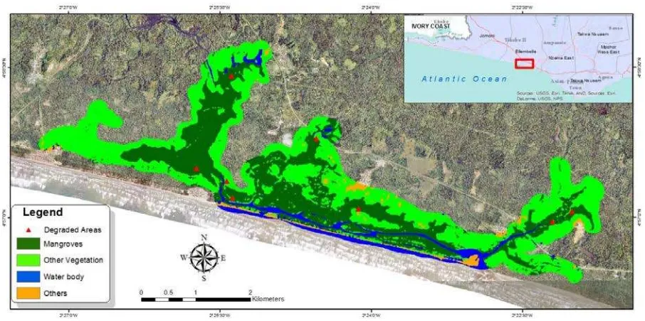 Figure 11 Map of the Amanzule mangrove sites showing some degraded areas