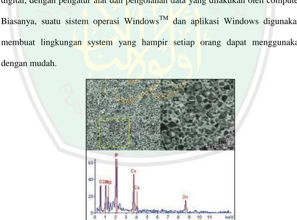 Gambar  2.11  adalah  beberapa  contoh  bayangan  material  yang  diamati  dengan SEM