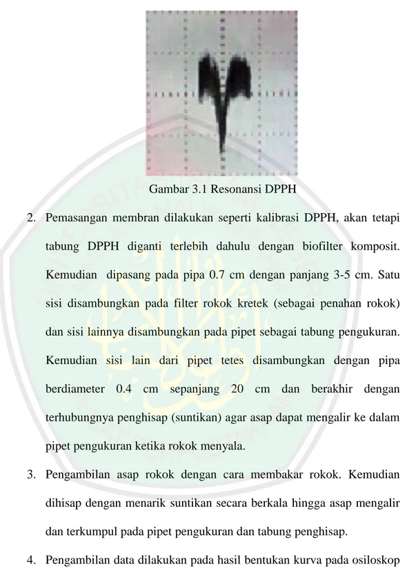 Gambar 3.1 Resonansi DPPH 