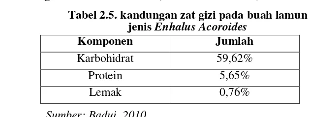 Tabel 2.5. kandungan zat gizi pada buah lamun  jenis Enhalus Acoroides 