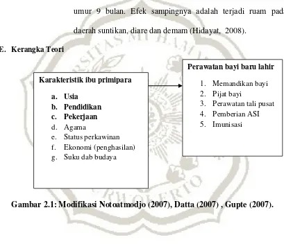 Gambar 2.1: Modifikasi Notoatmodjo (2007), Datta (2007) , Gupte (2007). 