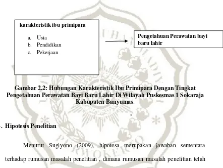 Gambar 2.2: Hubungan Karakteristik Ibu Primipara Dengan Tingkat 