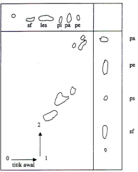 Gambar  IV.2  Pemisahan  dua  dimensi  sari  fosfolipid  dari  eritrosit  manusia.Pelarut: kloroform – metanol – minyak tanah ringan – air (8:8:6:1)pada dimensi pertama dan aseton – kloroform – metanol – air(8:6:2:2:1) pada dimensi kedua (Nama belakang penulis, Tahun).