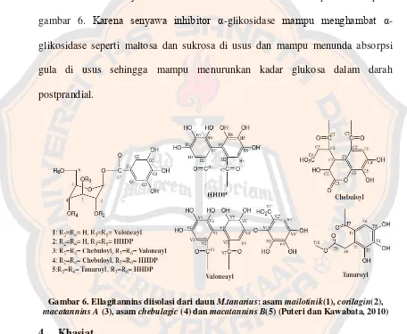 Gambar struktur senyawa hasil isolasi ekstrak metanol air dapat dilihat pada 