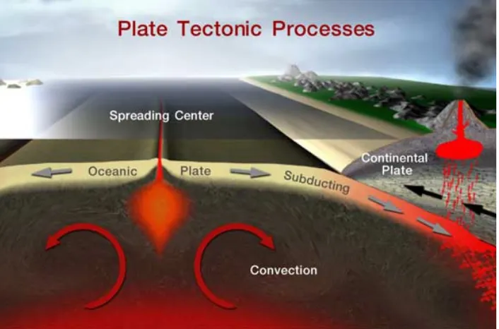 Gambar 2.4 Plate Tectonic Processes