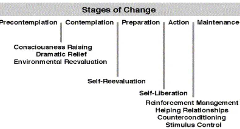 Figure 7 Chart showing the various stages of behaviour change 