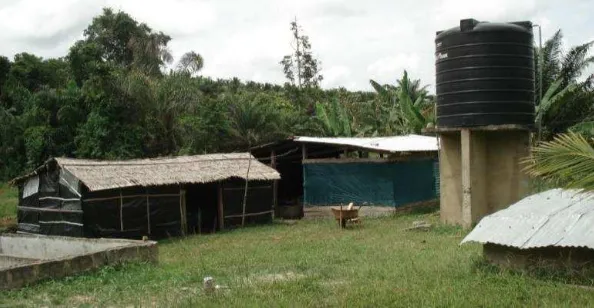 Figure 3: The hatchery of James Aidoo at Tikobo II. Note two hatchery buildings, well (extreme right) and head tank