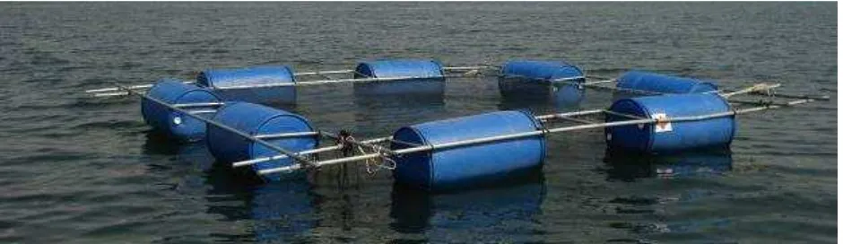 Figure 8: Typical small cage system used in the Volta River and Lake. 
