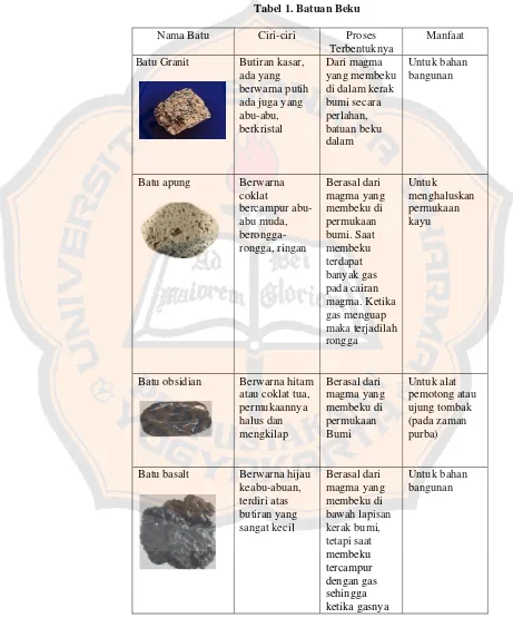 Tabel 1. Batuan Beku 