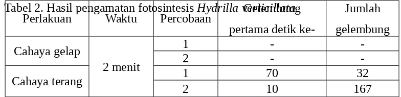 Tabel 2. Hasil pengamatan fotosintesis Hydrilla verticillataPerlakuanWaktuPercobaanGelembung
