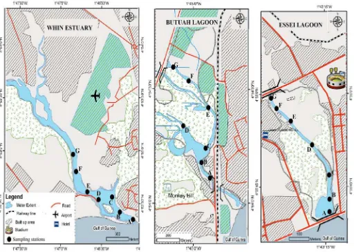 Figure 8:  Map of the three wetlands in the Sekondi Takoradi Metropolis with the monitoring sites established in a collaborative program with the Fisheries and Aquatic Sciences Department of the University of Cape Coast