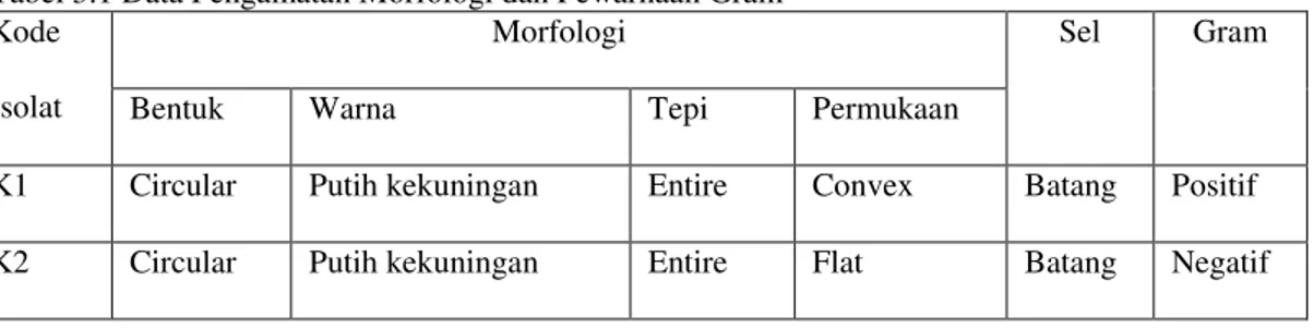 Tabel 3.1 Data Pengamatan Morfologi dan Pewarnaan Gram  Kode 