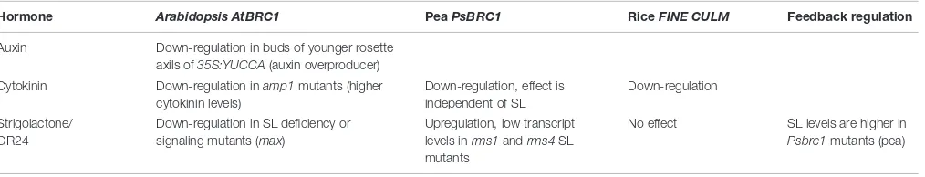 TABLE 2 | Regulation of BRC1/TB1 expression.