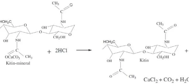 Gambar 2.4 Reaksi Deproteinasi [21] 