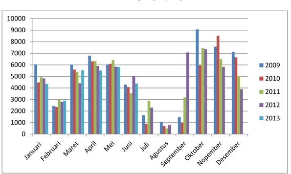 Grafik IV.2 : Grafik Jumlah pengunjung Tahun 2009-2013