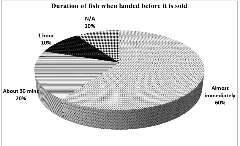 Figure 12 Duration of landed fish at beach prior to selling off 