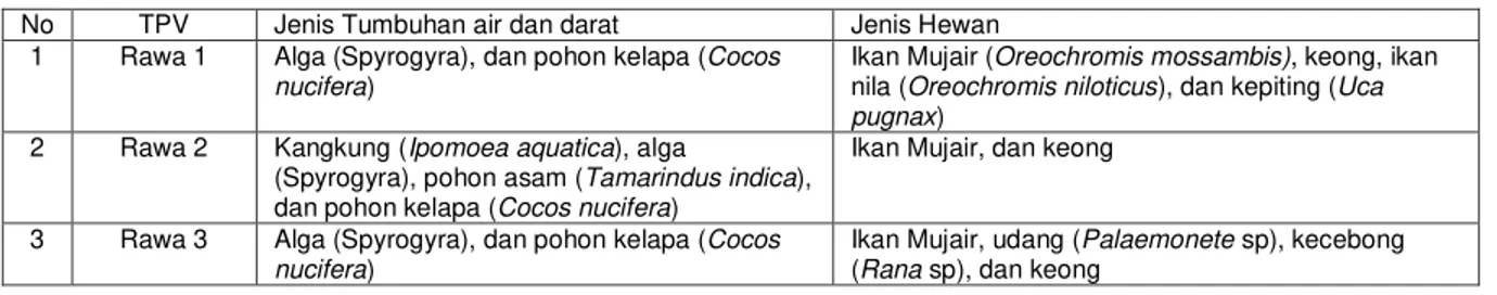 Tabel 3.  Hasil pengamatan faktor-faktor biologi tempat perindukan larva nyamuk Anopheles sp