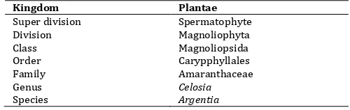 Table 2: Taxonomy of C. argentea L. [13]