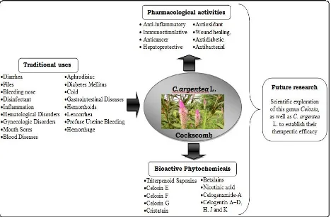 Fig. 1: Research of C.argentea L. past, present and future 