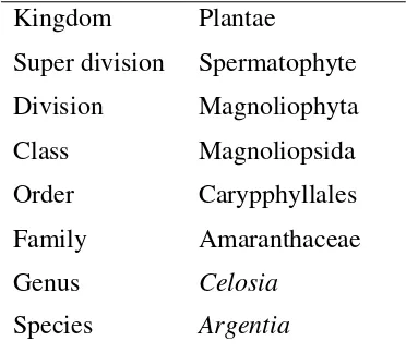 Table 1: Taxonomy of C. argentea L. 