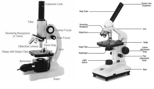 Gambar 1.1 Mikroskop Cahaya  