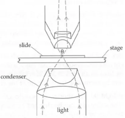 Gambar 1.2. Cahaya yang difokuskan oleh kondensor memasuki lensa obyektif dengan sudut θ  