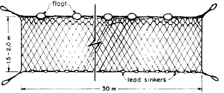 Figure 3: Gill nets showing floats and lead sinkers (dela Cruz, 1983) 