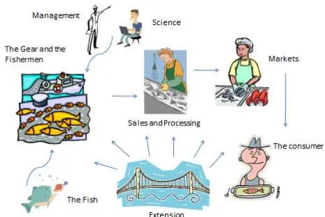 Figure 9: Components of a capture fishery 