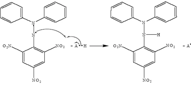 Gambar 3. Reaksi Radikal DPPH dengan antioksidan (Windono et al., 2001). 