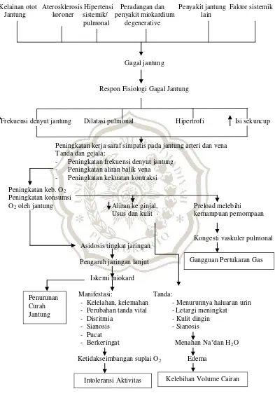 Gambar 2.2 Pathway dan perumusan diagnosa keperawatan (Huddak & Gallo, 2010), (Smeltzer & Bare, 2002)