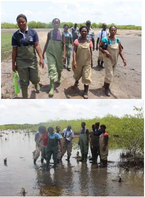 Figure 4: Participants at Bomingo mangrove project site 
