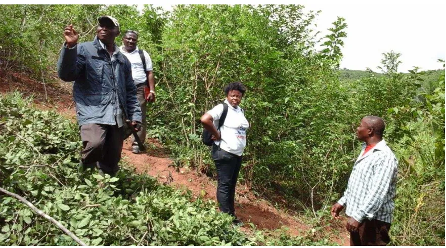 Figure 1 The facilitator together with SFMP team inspecting land clearing 