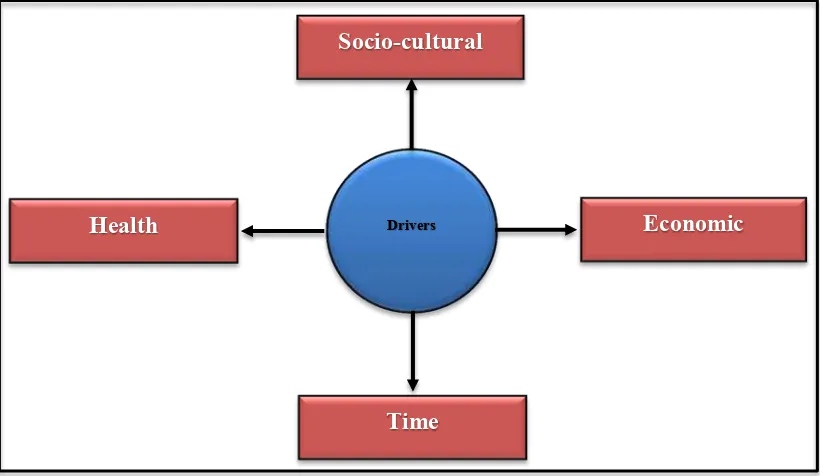 Figure 7: SETH Model 