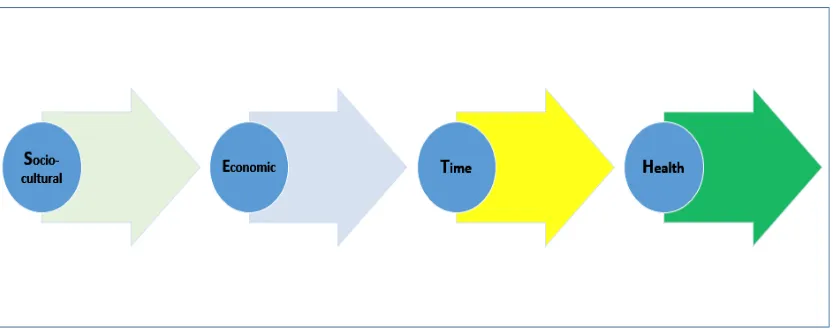 Figure 8: The SETH Model Process Path of Penetration 