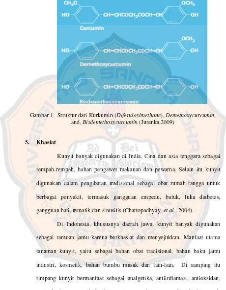 Gambar 1. Struktur dari Kurkumin (Diferuloylmethane), Demethoxycurcumin,