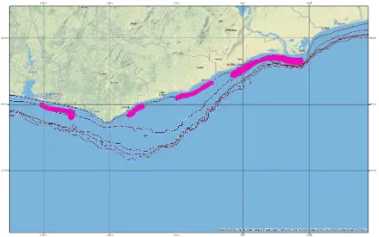 Figure 5 Distribution of anchovies Engraulis encrasicolus in April 2016 (R/V Dr. Fridjoft 