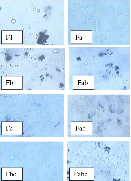 Gambar 4. Hasil pengamatan mikroskopik tipe emulgel (perbesaran 40x) 