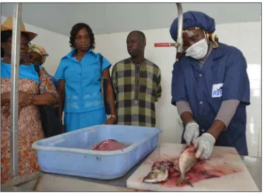 Figure 10 Demonstration of fish processing at the Cayar improved processing center. (Credit: Albert Boubane) 
