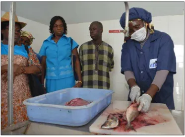 Figure 9. Demonstration of fish processing at the Cayar improved processing center. (Credit: Albert Boubane) 