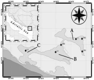 Fig.  1.  Study  area  with  sampling  stations  in  the  Bay  of  Kotor (Embayment A) the Bay of Tivat (embayment B) and the Bay of Herceg Novi (embayment C)