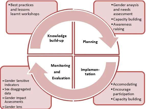 Figure 1: SFMP Gender Mainstreaming Approach 