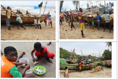 Figure 8 Under-age children working alongside adults on the beach 