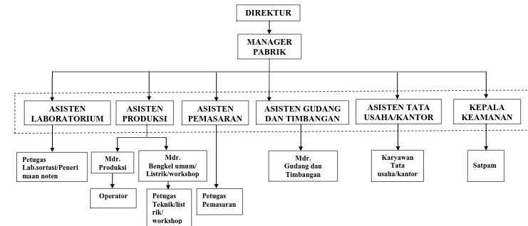 Gambar 2.2. Struktur Organisasi PT. XYZ