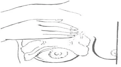 Gambar 8.Pengurutan buah dada berputar dari tengah ke 