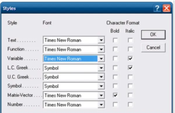 Gambar 2.4 Jendela Styles pada Equation Editor