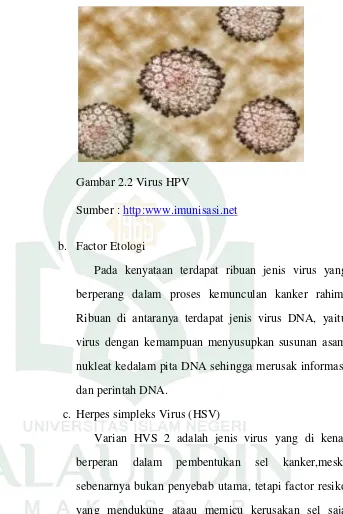 Gambar 2.2 Virus HPV 