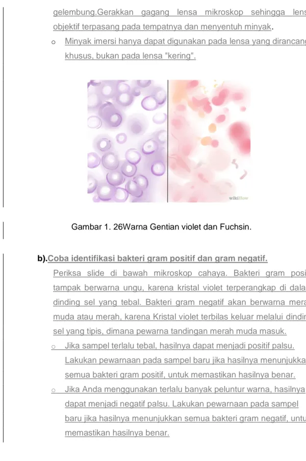 Gambar 1. 26Warna Gentian violet dan Fuchsin. 