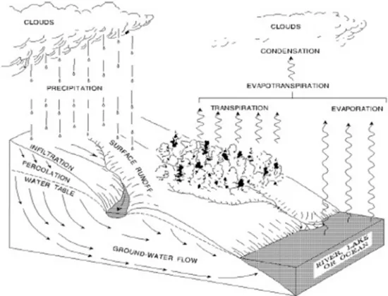 Gambar 2.1 Siklus Hidrologi. ( Sumber: Limantara, Lily Montarcih. 2010. Hidrologi Praktis